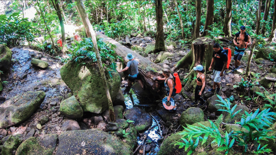 Kauai: Wailua River Kayak and Secret Falls Hike Tour