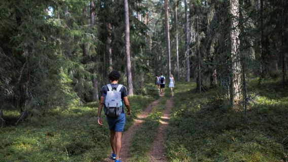 Estonian Countryside and Lahemaa Day Trip from Tallinn
