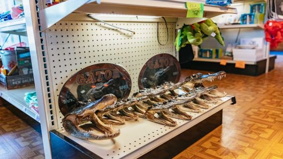 New Orleans: Guided Swamp Cruise by Tour Boat