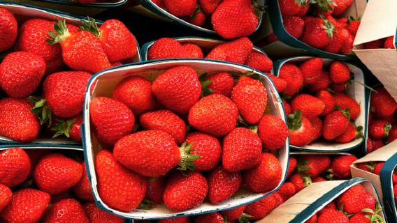 Provencal Market Walking Tour with Tastings