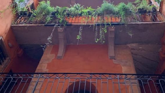 Lyon: Private Walking Tour of "Traboules" in the Old Town