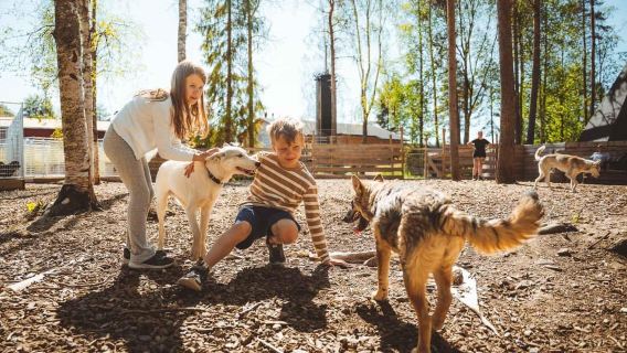 Rovaniemi: Husky Farm Visit