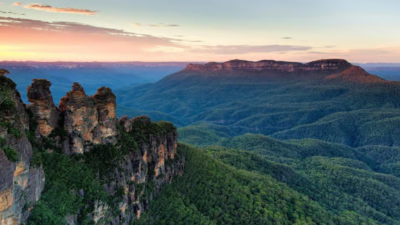 Dagsutflykt i liten grupp till Blå bergen, vildliv och Scenic World
