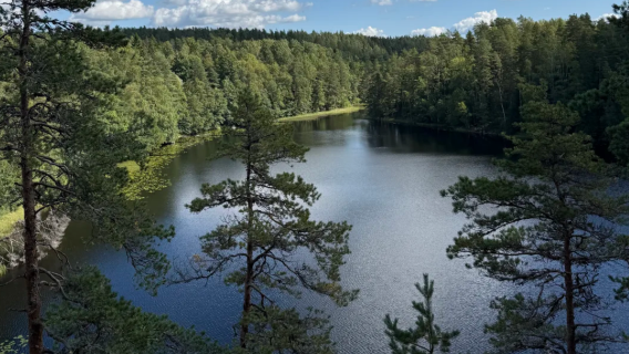 Finland Helsinki - Taman Negara Nuuksio - Pusat Haltia - Sewaan Peribadi - Tanpa Risau