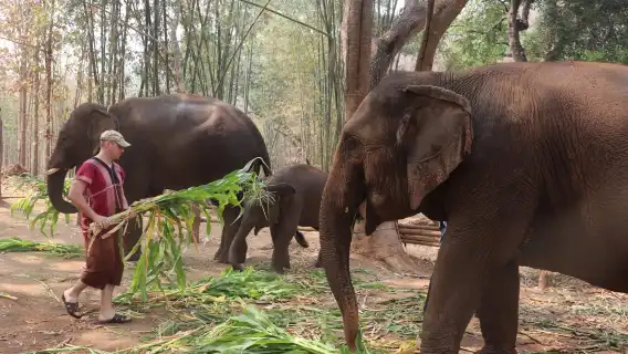 泰國清邁 Kerchor elephant eco park 半日遊【Kerchor】