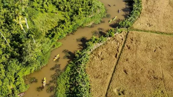 3-часовой каякинг по спокойной воде в каякинг