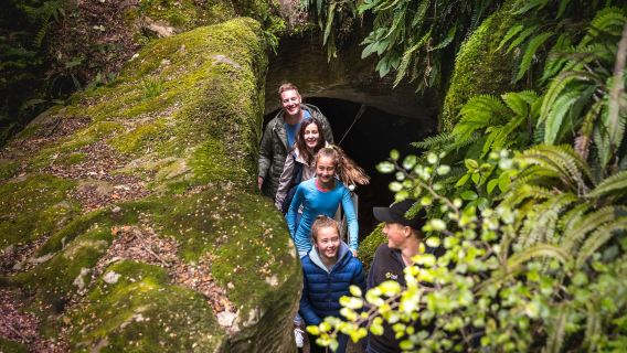 Te Anau Glowworm Caves, South Island, New Zealand - Mysterious Glowworm Caves - Glowworm Caves A must-visit place in South Island, New Zealand