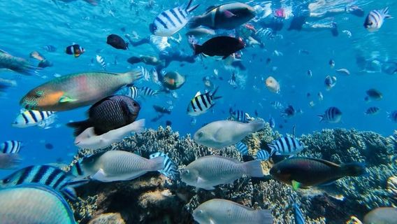 Phu Quoc IslandTours