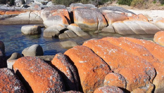 ทัวร์วันเดียว/ทัวร์หลายวัน ไปยังเบย์ออฟไฟร์ แทสเมเนีย ประเทศออสเตรเลีย