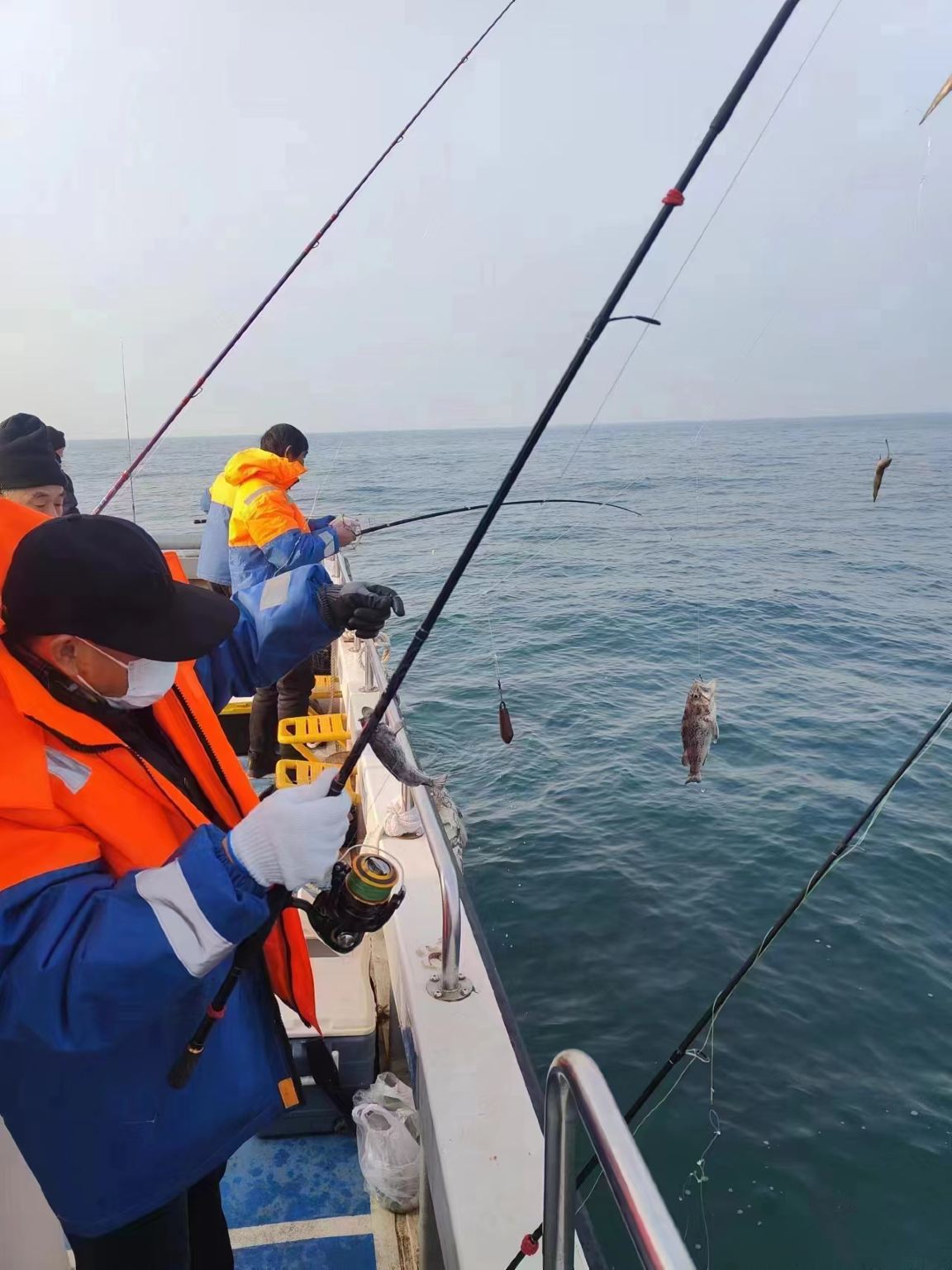 河北秦皇島北戴河漁田/漁民體驗/採摘時令海鮮【可體驗垂釣/拉網捕魚+觀賞大美翡翠島/海上聚會團建首選】