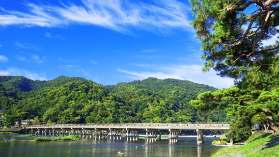 однодневный тур в Арашияма + парк Нара + Святилище Фусими Инари с питанием