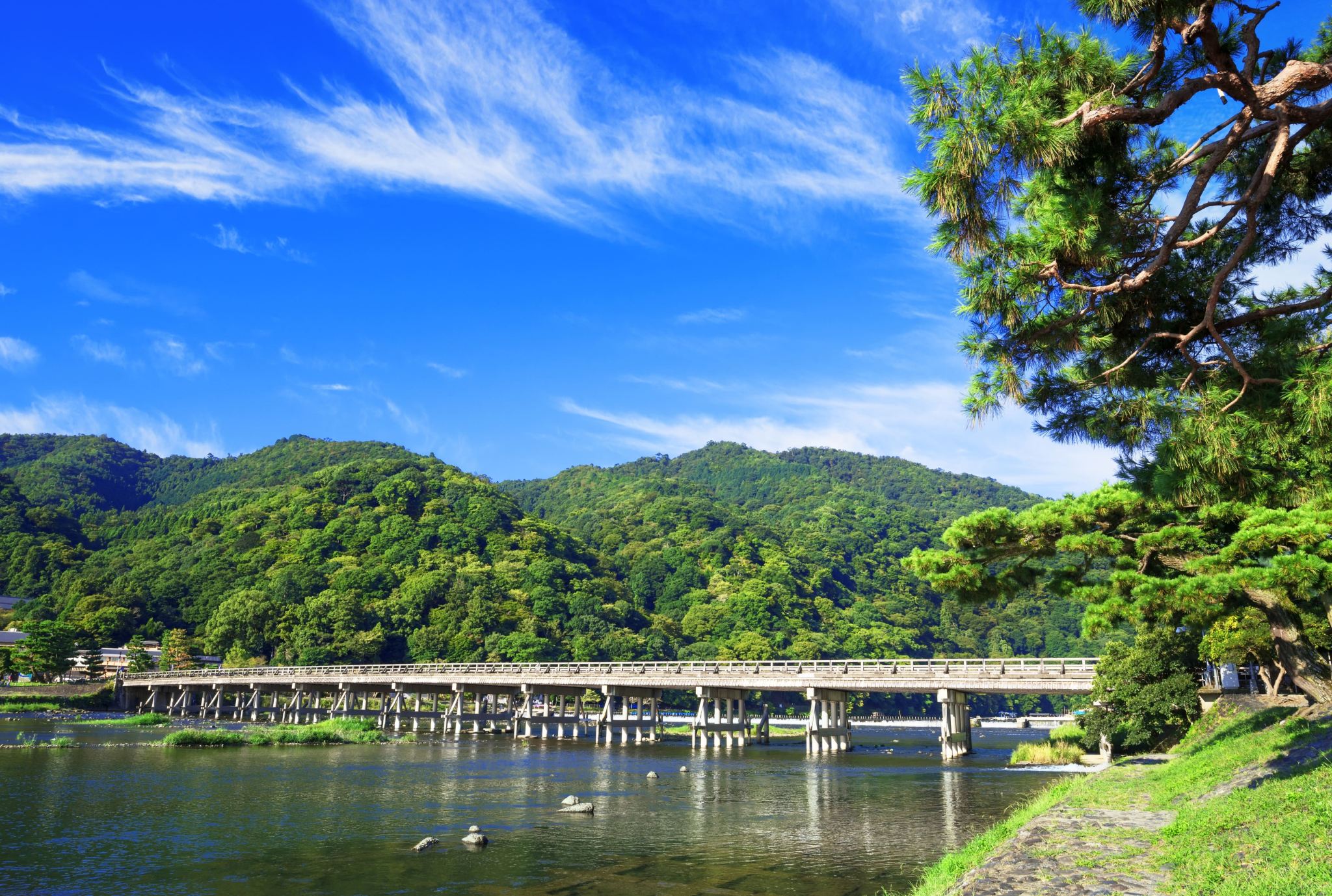 Kyoto Heritage Tour: Arashiyama, Fushimi Inari & Nara Park with Lunch