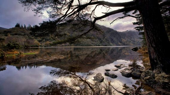 Wicklow, Glendalough & Kilkenny: Tour with Sheep Demonstration + Hotel Pick Up