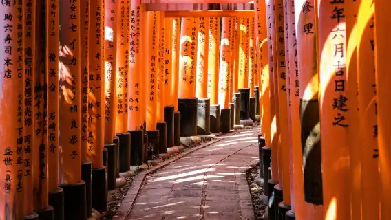 Kyoto & Nara & Uji World Heritage Day Tour: Nara Park & Fushimi Inari & Byodoin & Matcha Street