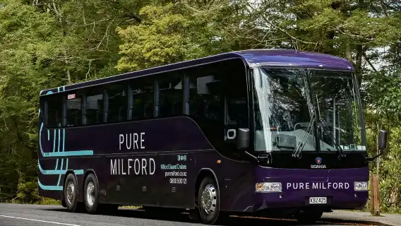 Milford Sound coach tour and day cruise experience