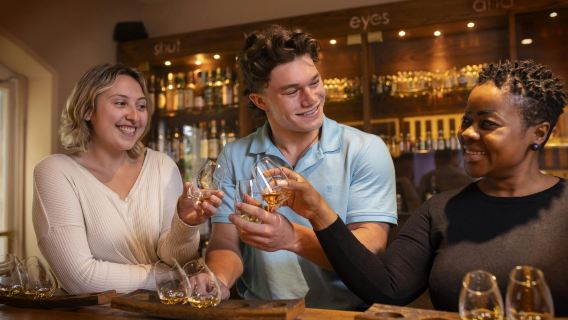Irish Whiskey Museum Premium 1-Hour Tour and Tasting
