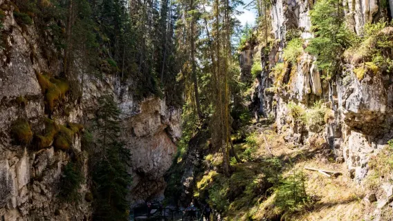 Tagesausflug ab Calgary/Banff: Lake Louise + Moraine Lake + Banff | Englischsprachige Tour