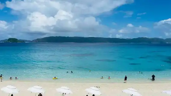 日本沖繩水族館+知念岬+古宇利島【港口&酒店接送/行程訂製】