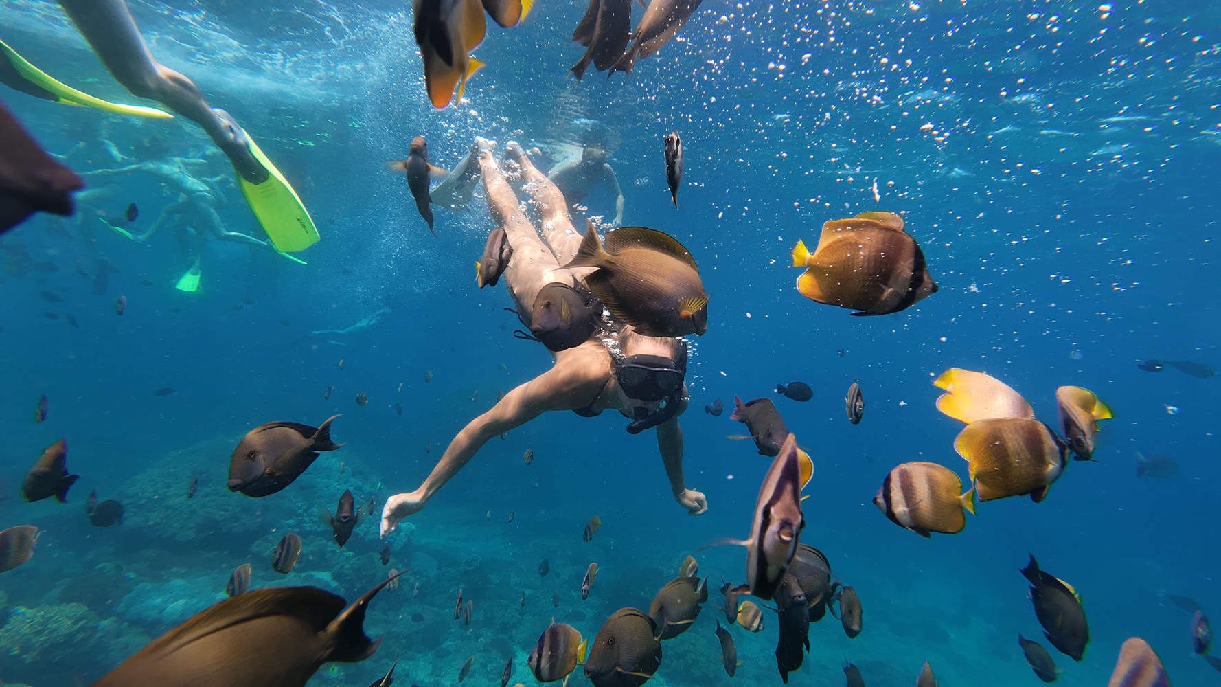 2-Hour Diving and Snorkeling Experience at Sanur Harbour, Bali, Indonesia [Meet at Sanur Harbour + 3 or 4 Snorkeling Sessions Optional + Manta Rays + Shared/Private Boat Options]