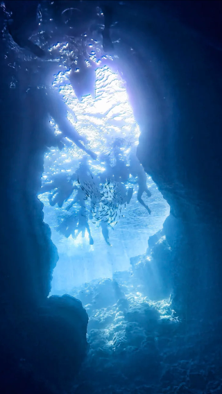 Snorkeling and scuba diving experience at the blue cave in Okinawa, Japan (departing from Onna, equipment included)