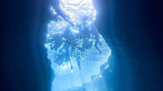 沖縄・青の洞窟で1時間のダイビングとシュノーケリング体験【恩納村発 シュノーケリング体験】人気のダイビングスポット |透明度抜群、神秘の幻想的な青の洞窟