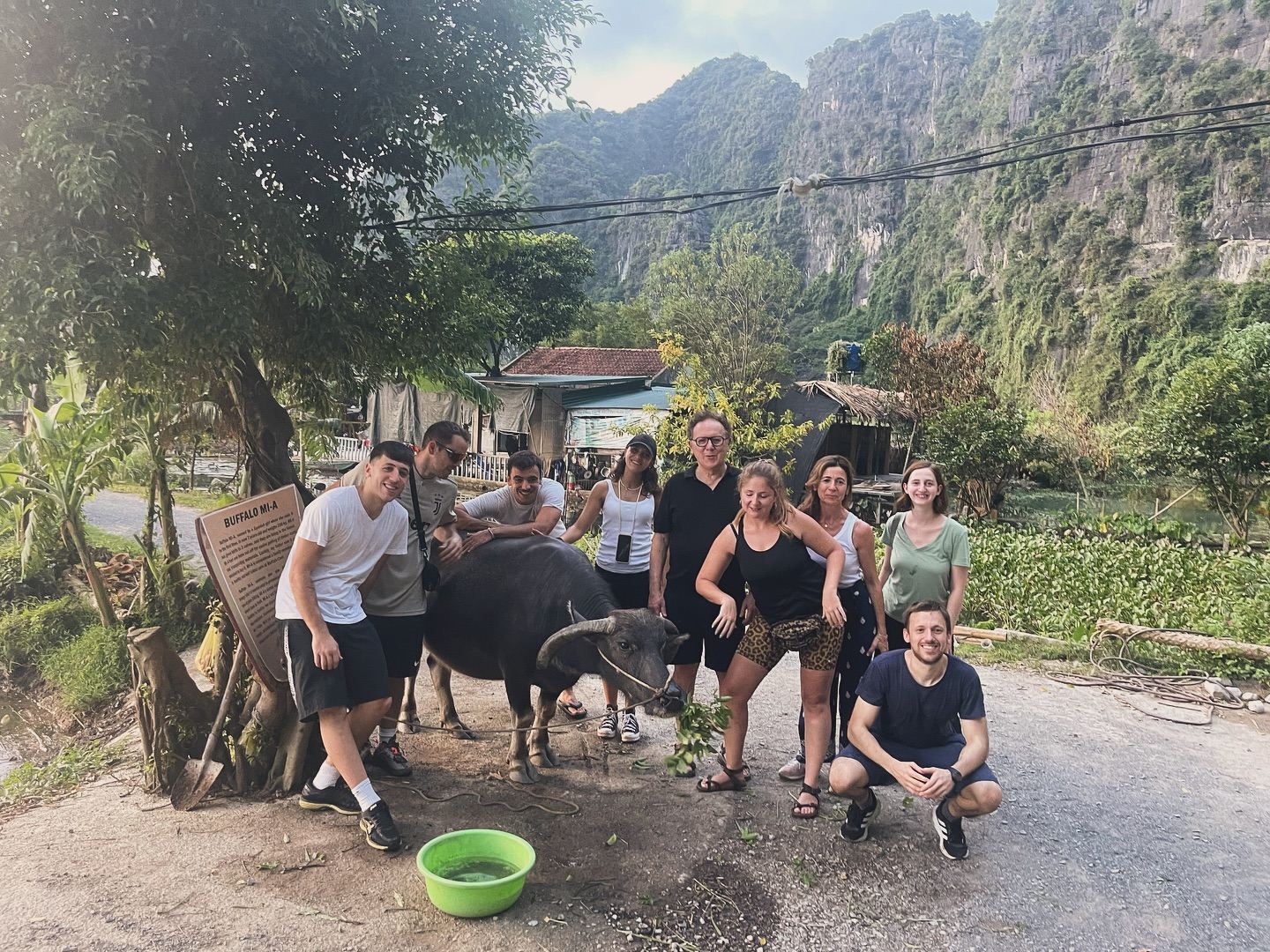 Esperienza di agricoltura nella grotta Buffalo a Tam Cốc - Ninh Bình