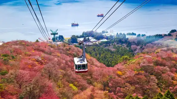 Hakone Owakudani, Lake Ashi, Lake Yamanaka, free Hakone cable car, optional 9-person small group transfer