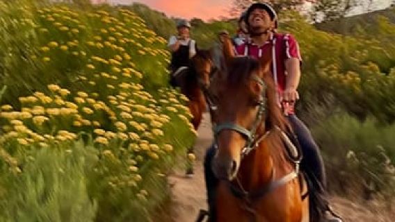 Finca vinícola Vrede en Lust: experiencia de paseo a caballo de 1 hora