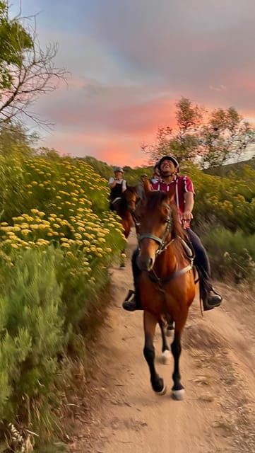 Weingut Vrede en Lust: 1-stündiges Reiterlebnis