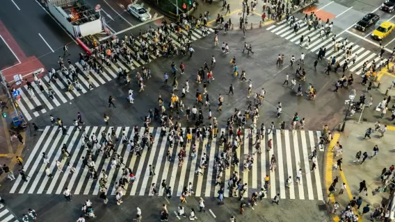 Shibuya & Harajuku: Hidden Gems & Highlights Private Tour
