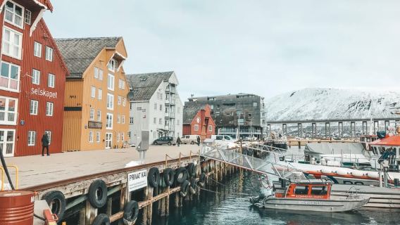 Tromsø: Private Stadtrundfahrt