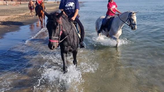 Roma a cavallo: Ostia antica e spiaggia con aperitivo