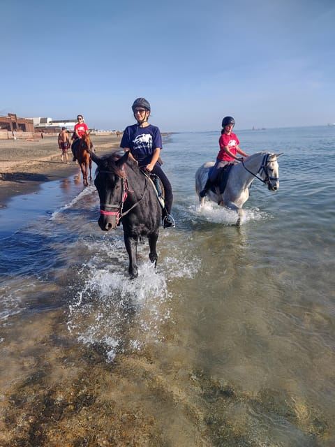 Rome on Horseback : Ancient Ostia & the beach with Aperitif