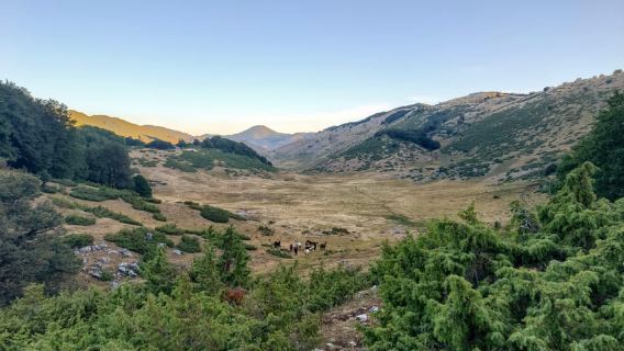 Thoát khỏi thành phố: Trải nghiệm cao bồi với bữa ăn và rượu vang