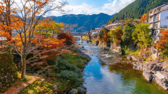 Shirakawago&HidaTakayama&GujoHachiman 1 Day Tour from Nagoya