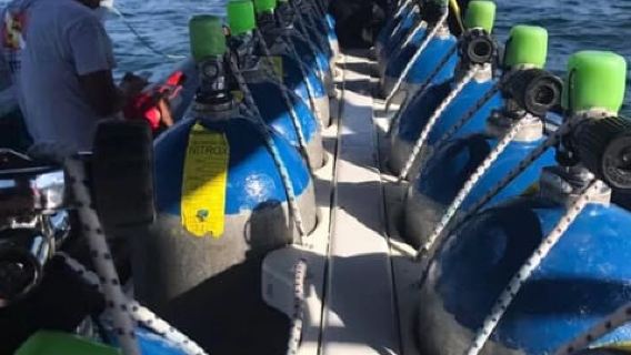 Jeddah's Oceanic Wonders: Dive into the Red Sea