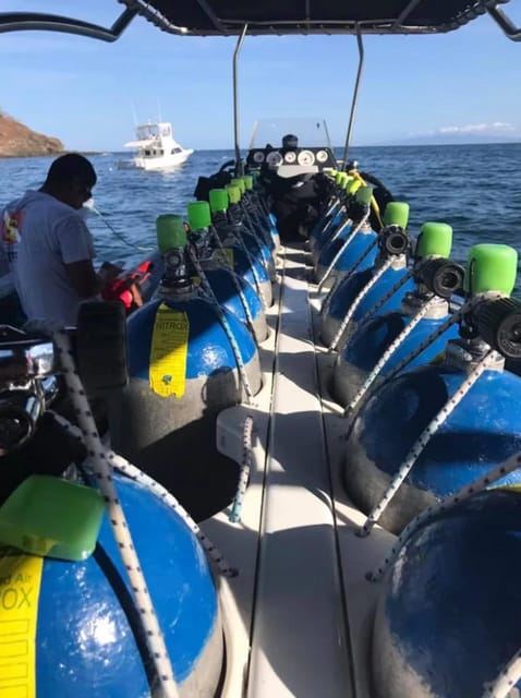 Le meraviglie oceaniche di Jeddah: tuffati nel Mar Rosso