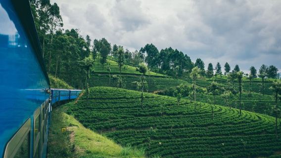 Colombo : voyage en train panoramique tout compris vers/depuis Ella