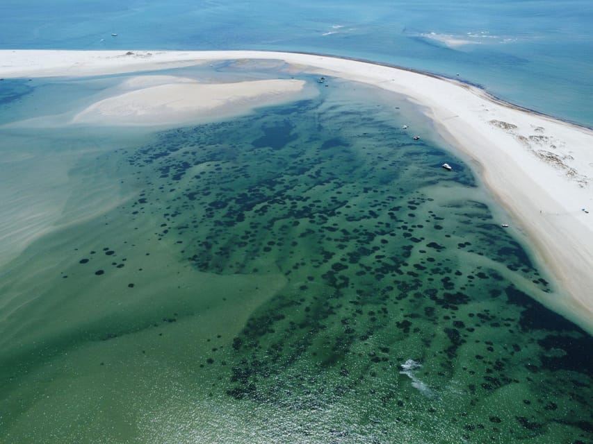 Setúbal: trasferimento in barca all'Ilha Deserta con tempo libero