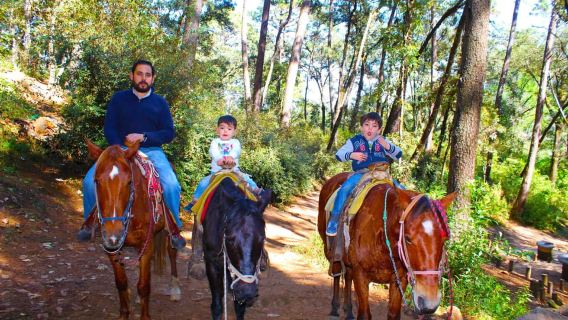 Valle de Bravo: recorrido a caballo por la cascada