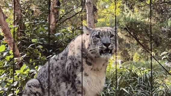 NYC: Central Park Zoo & Central Park Guided Walking Tour