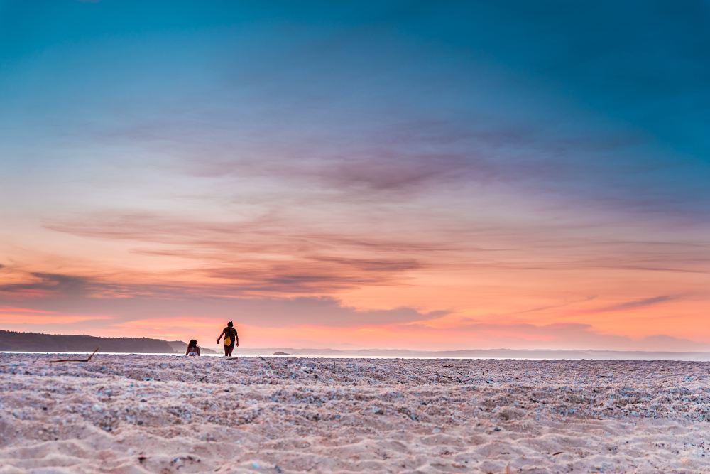 Sri Lanka + Negombo Lagoon + Negombo Beach + Easwary Seafood (Pvt) Ltd 1-day tour