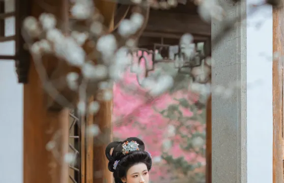 察隅旅拍【雪山秘境約拍跟拍航拍剪輯攝影攝像1對1多語言翻譯攝影師】