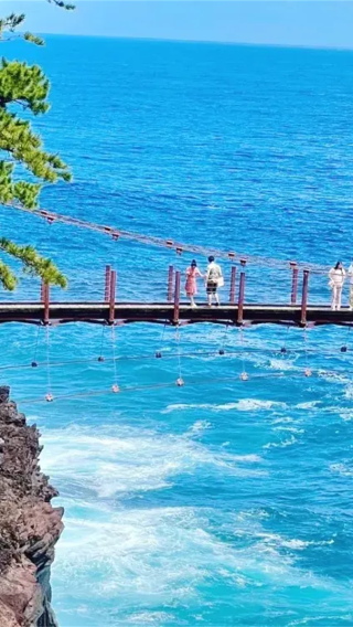 1-day tour in Izu: Free ocean-view train + Jogasaki coast, visit the filming location of "Your name"