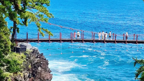 tour di un giorno a Izu (9 persone) via mare, terra e aria: treno marittimo gratuito, costa di Shiroki e monte Omuro