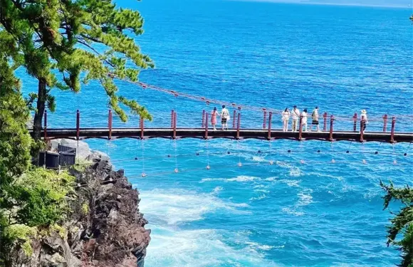 伊豆一日遊：免費觀海列車+城琦海岸+大室山