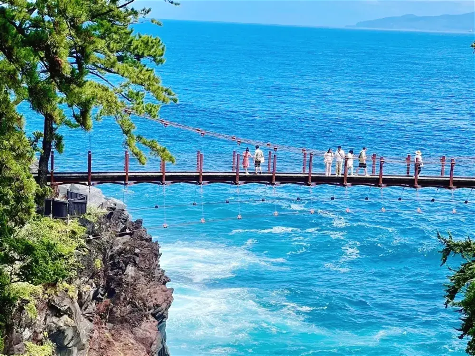 Tour di un giorno terra, mare e cielo a Izu: treno panoramico gratuito + costa di Jogasaki + funivia del Mt. Omuro