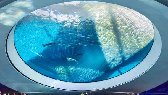 【邁阿密包車】水族館+維茲卡亞博物館及花園+小哈瓦那+第八街