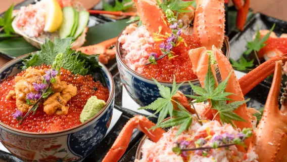 ¡Paquete de buffet de cangrejo de nieve y cangrejo rojo de Nagoya tamaño M! (Total de 63 platos)