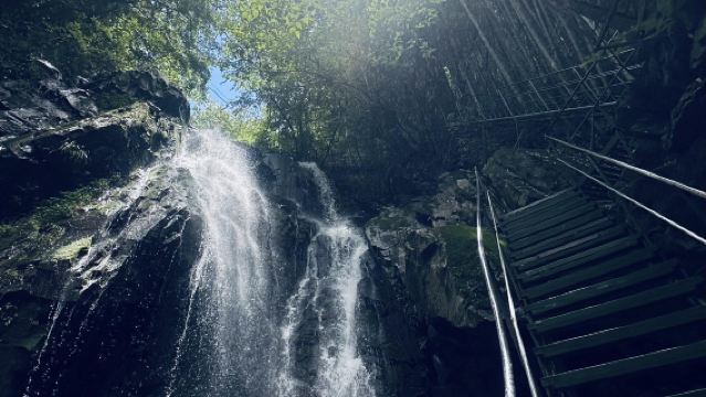 Perjalanan satu hari ke Tempat Wisata Canglong Baibu di Huzhou, Zhejiang + Kolam Surga Jiangnan Anji dengan layanan dalam bahasa Inggris dan Mandarin
